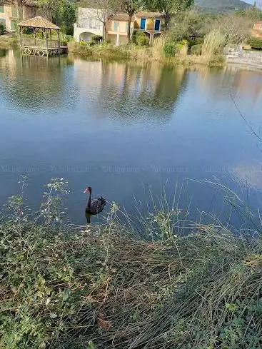 Photo de Etang