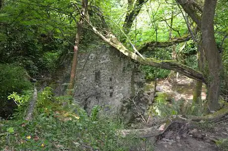 Blaen y Cwm Nature Reserve