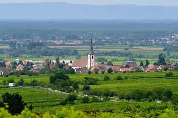 Photo de Office of Tourism Maikammer