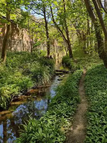 Photo de St Anne's Woods