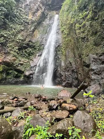 Photo de Syndicate falls Dominica
