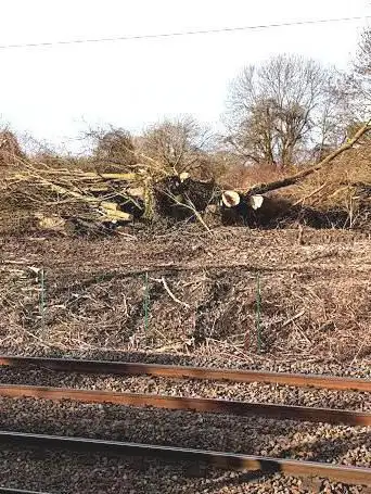 Photo de Office National des Forêts