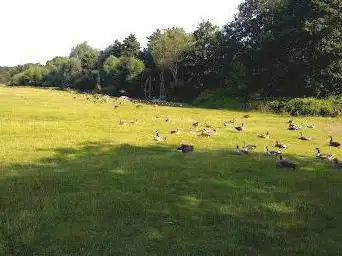 Photo de Weald Country Park