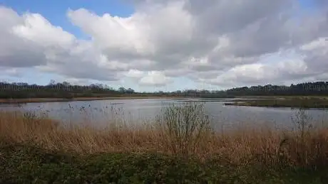 Balance Reservoir