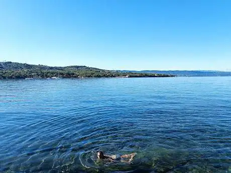 Photo de Plaža Debeli rtiÄ/Spiaggia Punta grossa