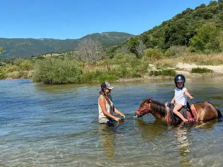 FILIT'HORSE