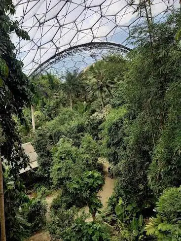 Rainforest Biome dome