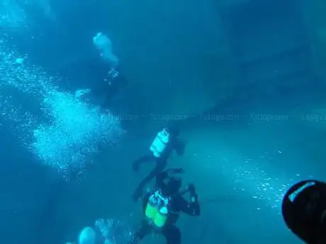 B & B Diving Center S.A.S.