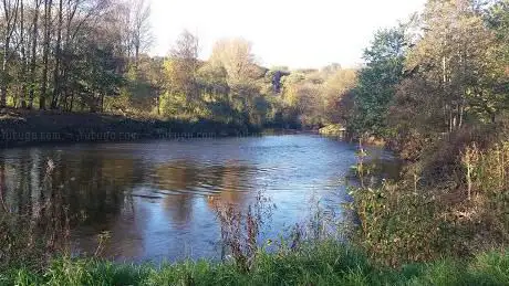 Photo de River View