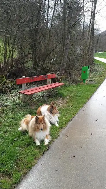 Ruhebank Am Bach