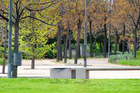 Photo de Carpetania Park