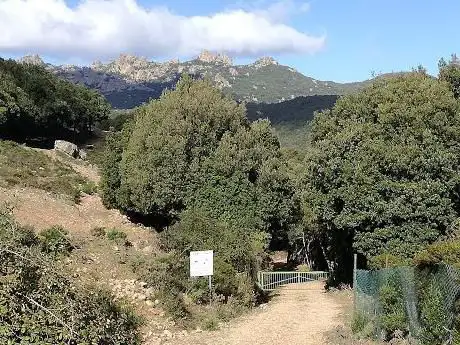 Sbarra Verde