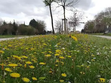 Photo de Parc des sports et loisirs de Rognonas