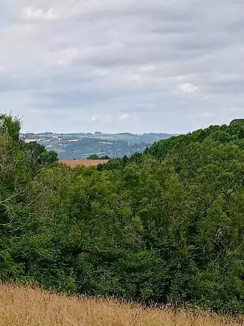 Wooscombe Wood