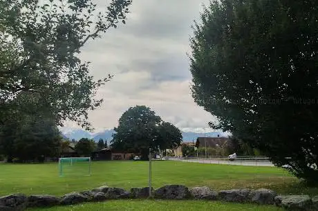 Schoreneiche