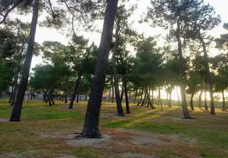 Photo de Le Parc des Pins