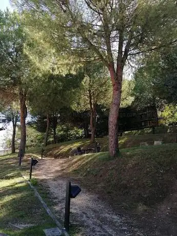 Parco delle Mimose