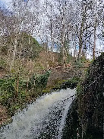 Photo de Westquarter Glen