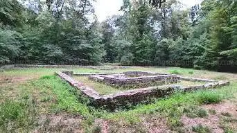 Photo de Temple gallo-romain de la forêt d'Halatte