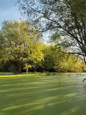 Laguna da Congorza