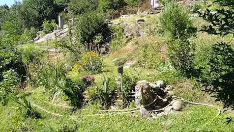 L' Alchimista del verde di Damien Mattei.