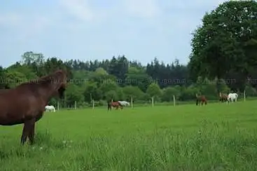 Photo de Domaine Équestre Nozkan