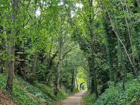 Photo de Harborne Nature Reserve