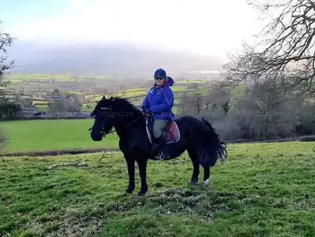 Ellesmere Riding & Trekking Centre