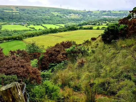 Mynydd Gellionnen
