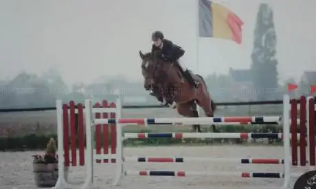 Golden Tree Stables Dressage