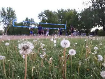Photo de Terrain de beach-volleyball