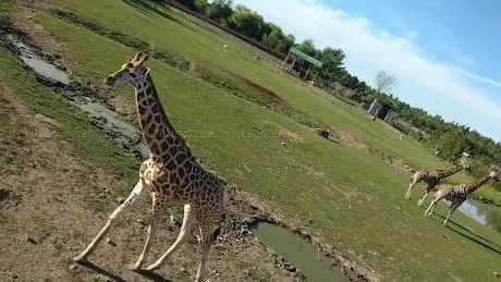 Photo de Parc Safari
