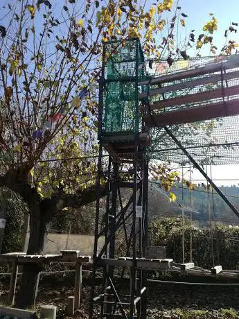 Photo de Camp de futbol municipal