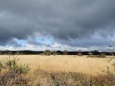 Tourbieres des monts d'arrée