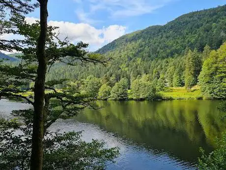 Photo de Cascade de Retournemer - Notre Dame des Neiges