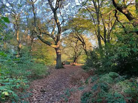 Photo de Jones Wood