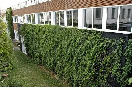 Groene Gevels vzw