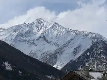 Pianta Pier Giorgio