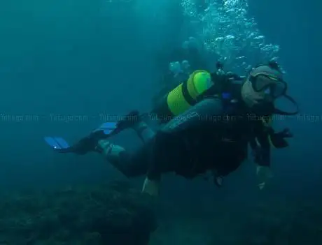 Photo de Marina Diving Center