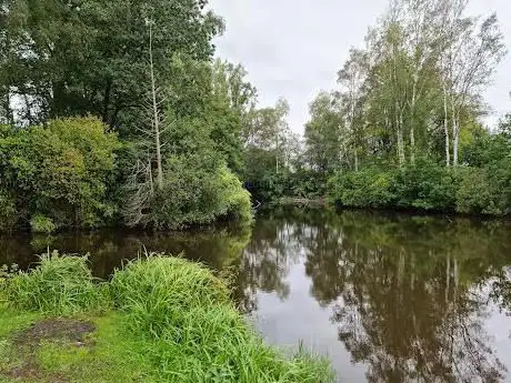 Photo de Het Moeraspad - 5 km