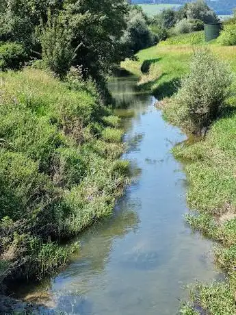 Alt Eschenbach