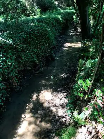 Photo de Bosco del Vallone dell'Eremita