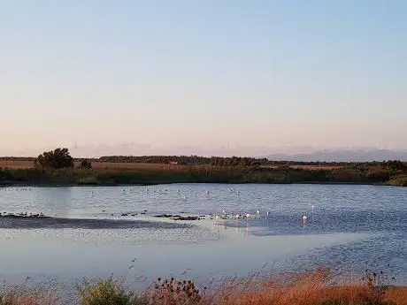 Stagni dei Fenicotteri