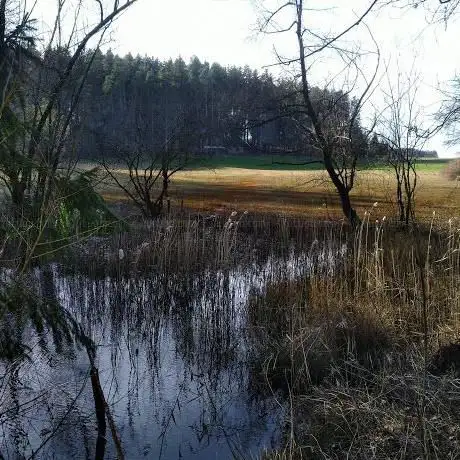 Photo de Lenggenwiler Moos