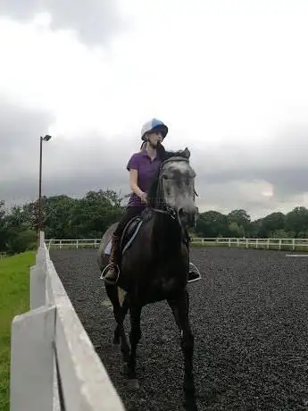Photo de Little Leigh Farm Equestrian Centre