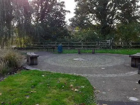 The Oasis