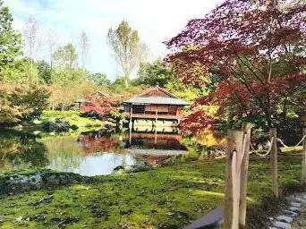 Japanese Garden