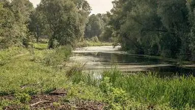 Oude Leiearm