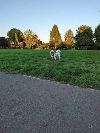 Photo de Stamford Brook Common