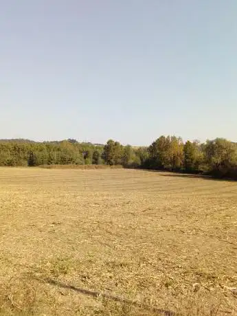 Photo de Sito Palafitticolo Lavagnone